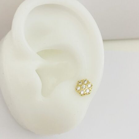 14k gold  earrings  pierce GO4