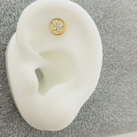 14k gold  earrings  pierce GO9