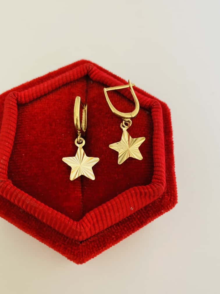 14k gold earrings JUNE5