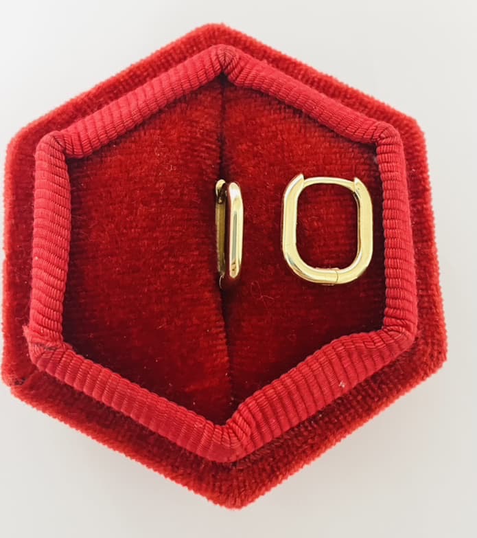 14k gold New earrings 13E0044