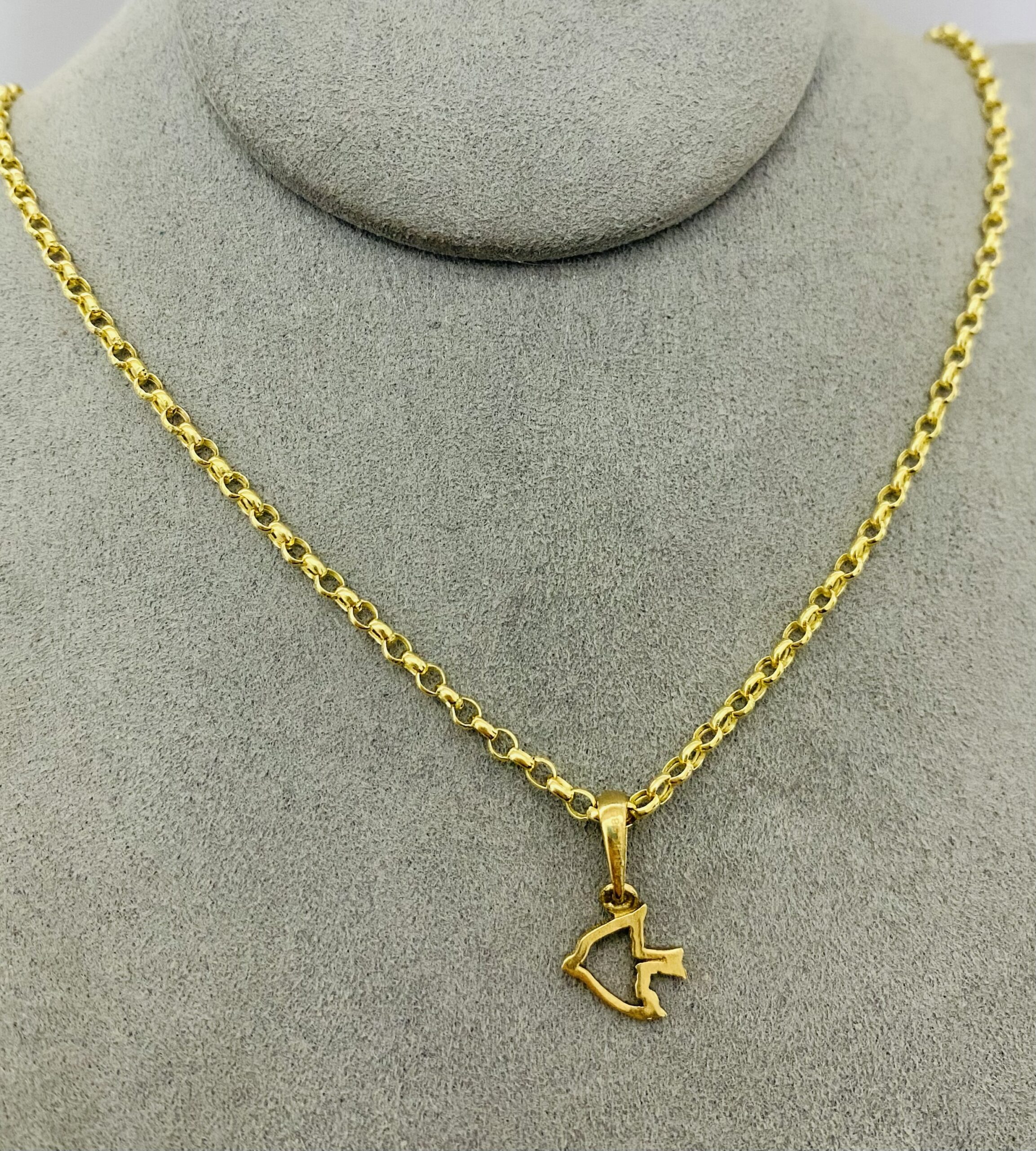 14k gold Chain and Pendant 40cm 25OCTB025