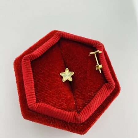 14k gold  earrings 26MAYE01
