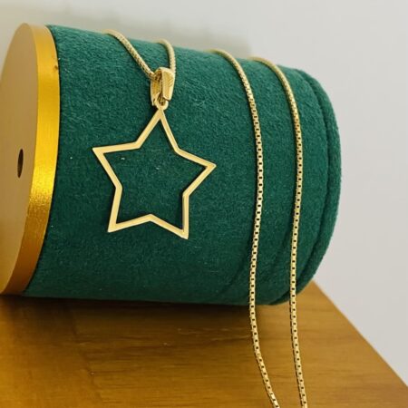 Fine 14k gold chain and pendant 50cm JUN047